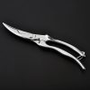 Heavy Duty Stainless Steel Poultry Shears AKC031 2